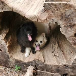 Meet your Posher, Len